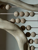 Abacus