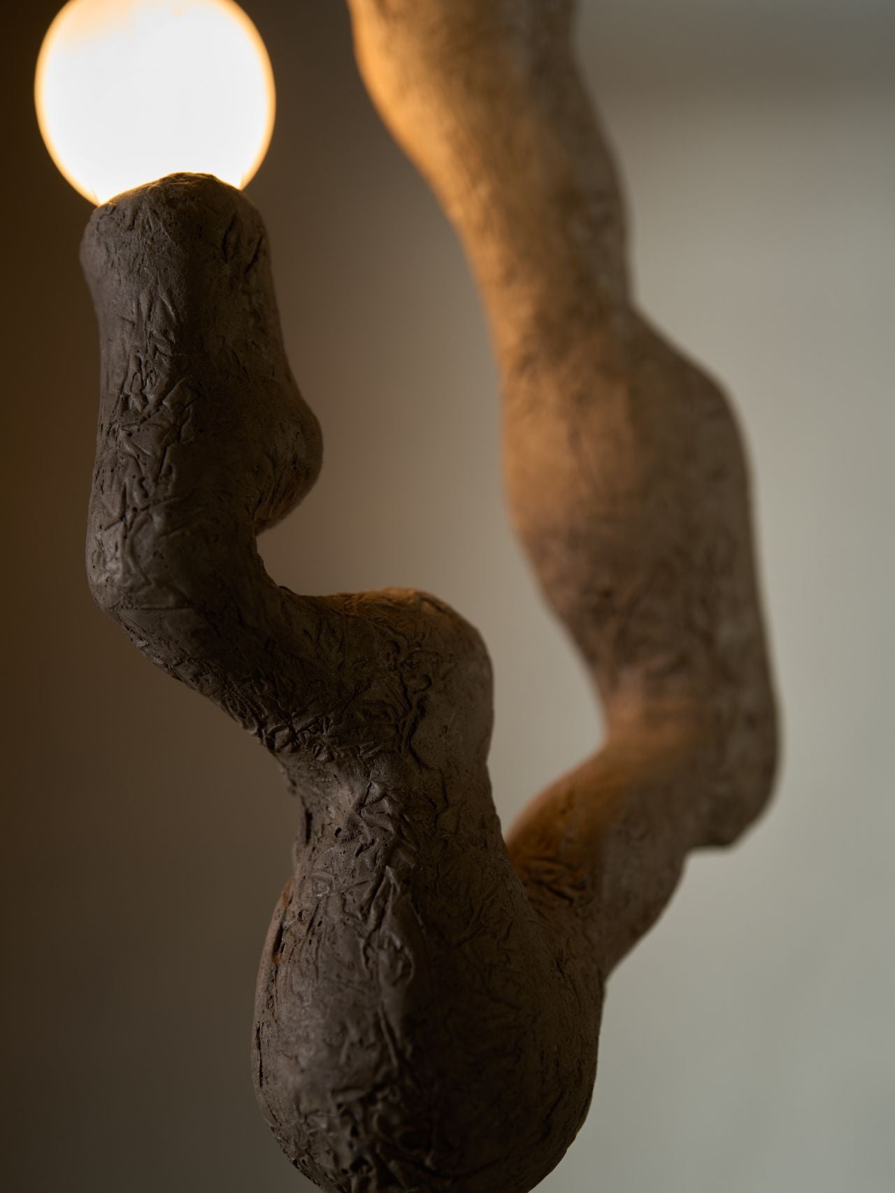 Drape Hanging Light
