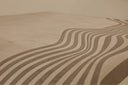 Fold Verse